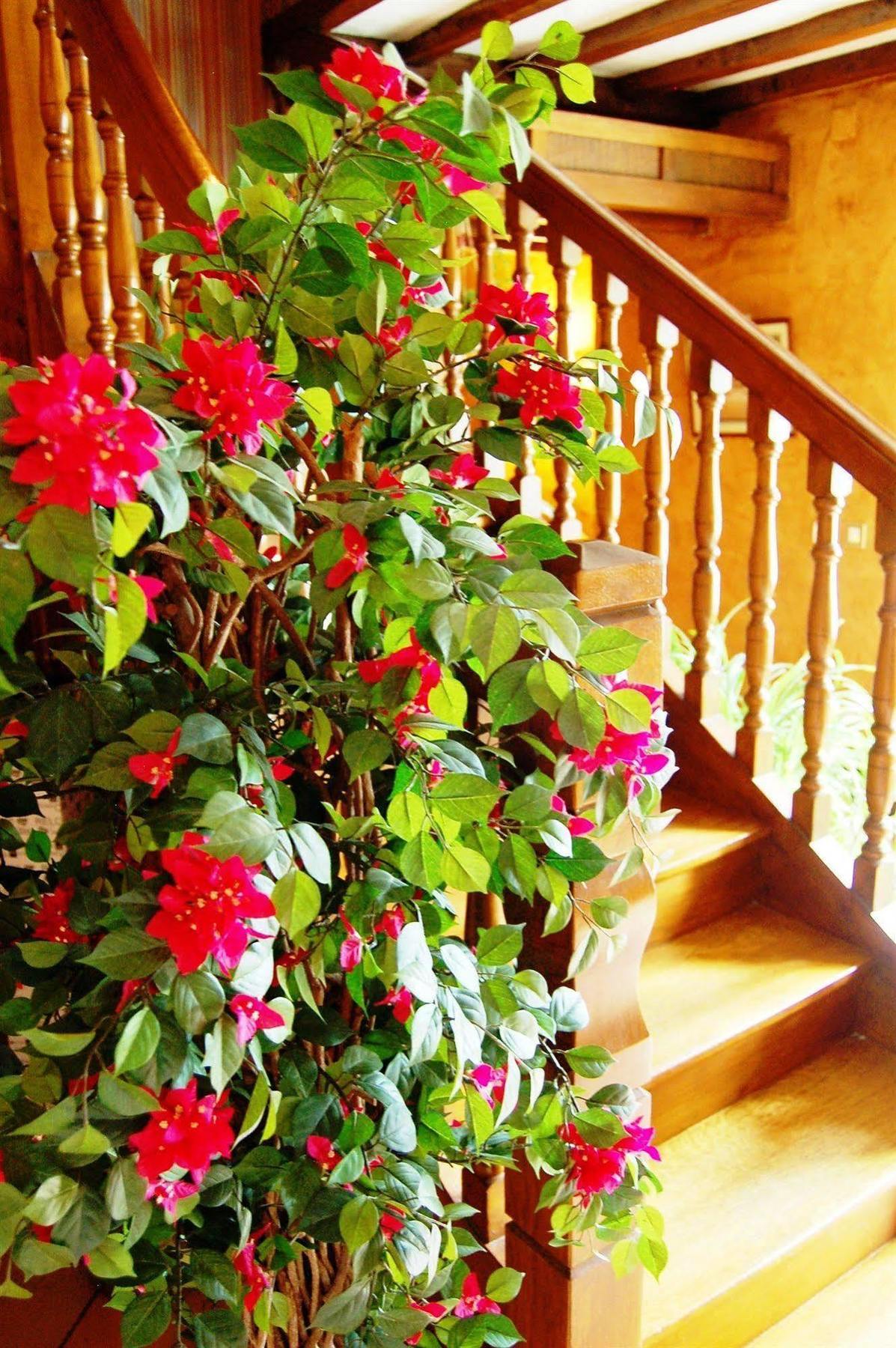Chez CHILO Hotel Barcus Kültér fotó